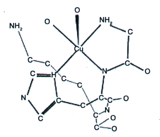 Cu-Peptidi-formula.png